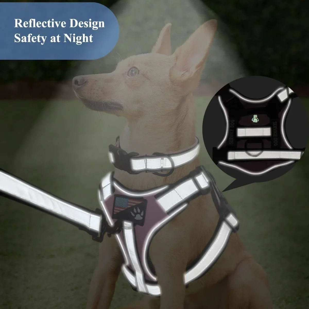 Doberman Dog Harness Collar Leash Set - MyPetDollar.com