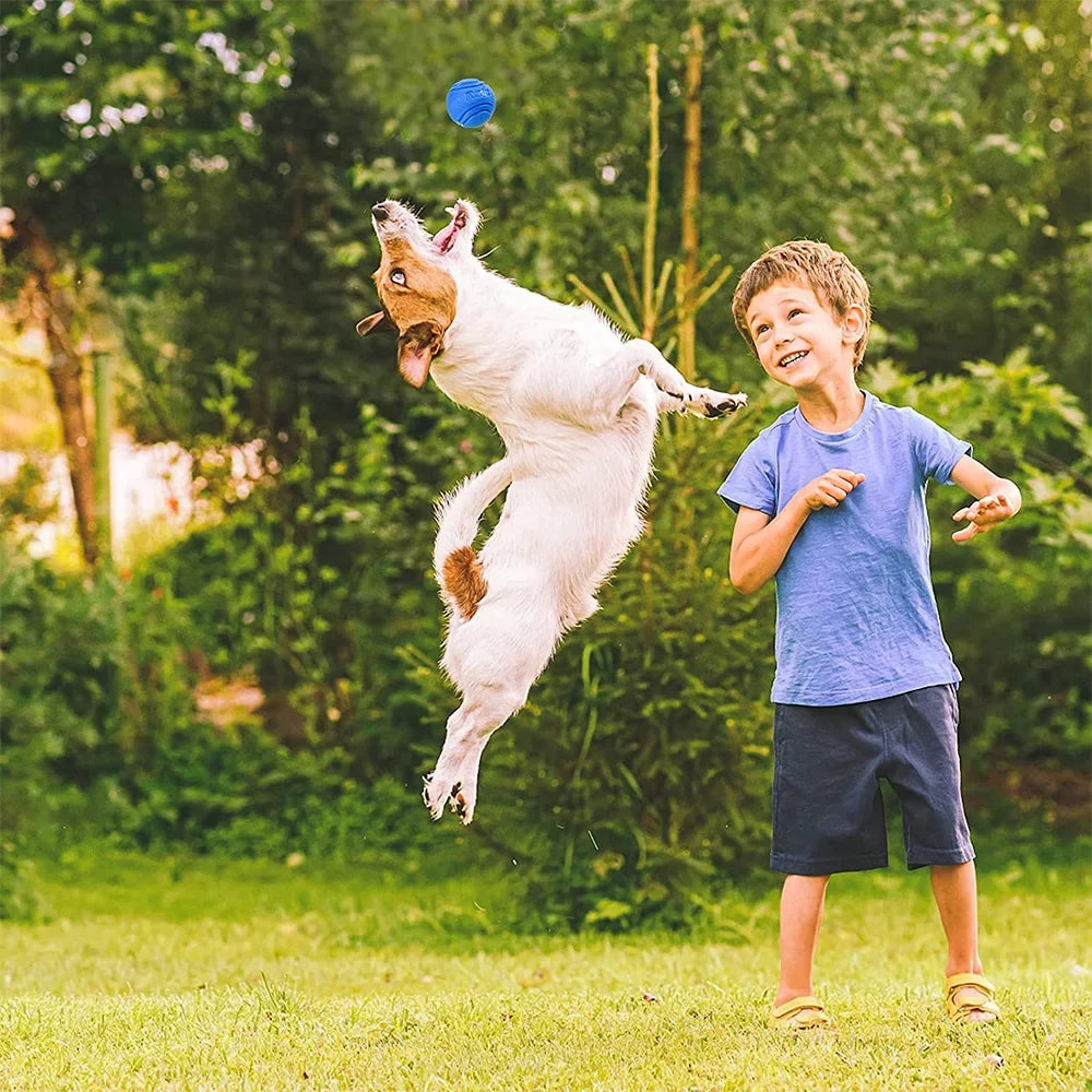 Pet Dog Toys Dog Ball Dog Bouncy Rubber - MyPetDollar.com