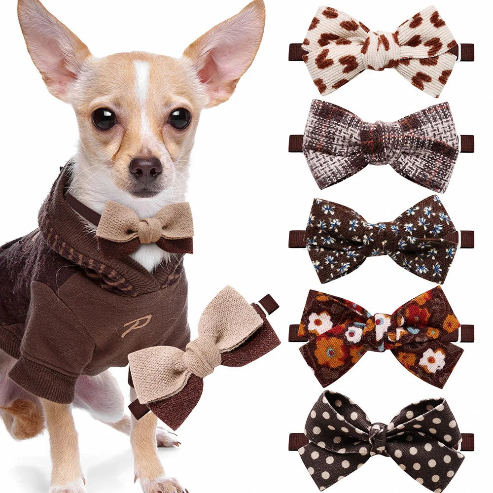 10pcs Dog Supplies Fashion Delicate Dog - MyPetDollar.com