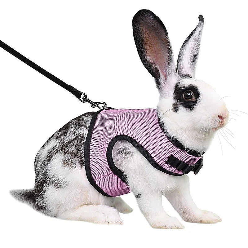 Harness with Leash Set for Rabbits - MyPetDollar.com