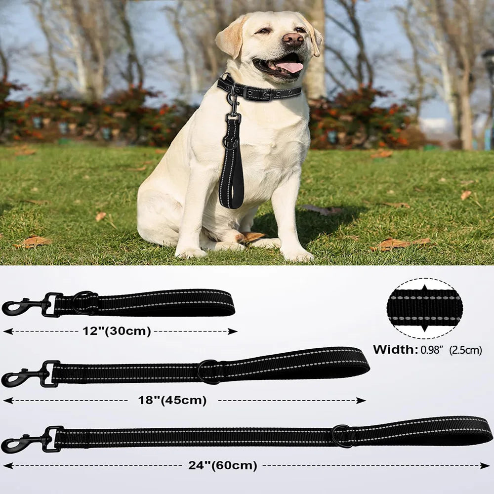 Explosion Proof Pet Short Leash 30cm Large - MyPetDollar.com
