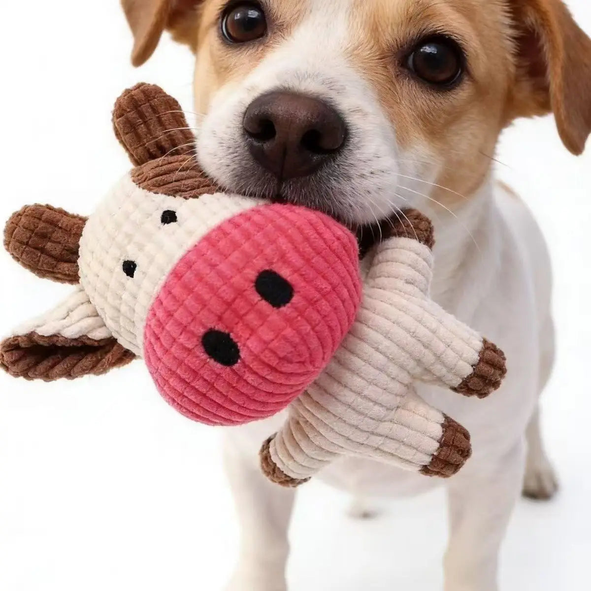 Cute Plush Toys Squeak Pet Cow Rabbit Animal - MyPetDollar.com