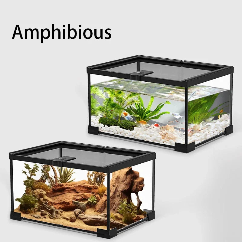 Transparent Terrariums Reptile Amphibians - MyPetDollar.com