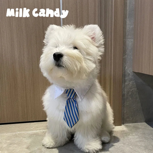 Pet Bow Tie Cats & Dogs Adjustable British - MyPetDollar.com