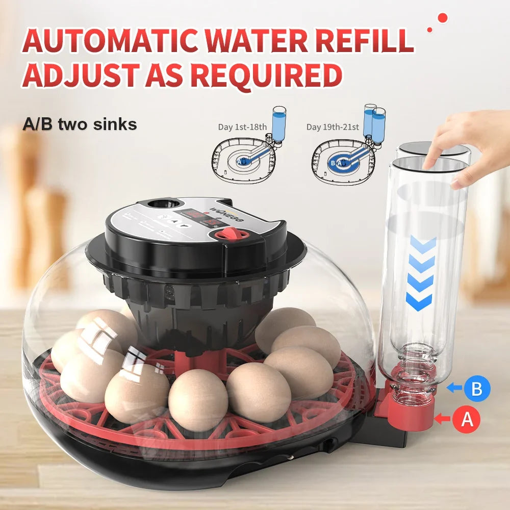 100-240V with Flashlight for Automatic 12H - MyPetDollar.com