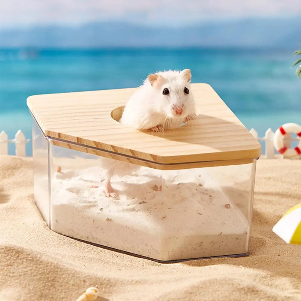 Hamster Golden Bear Sand Bath Box Acrylic - MyPetDollar.com