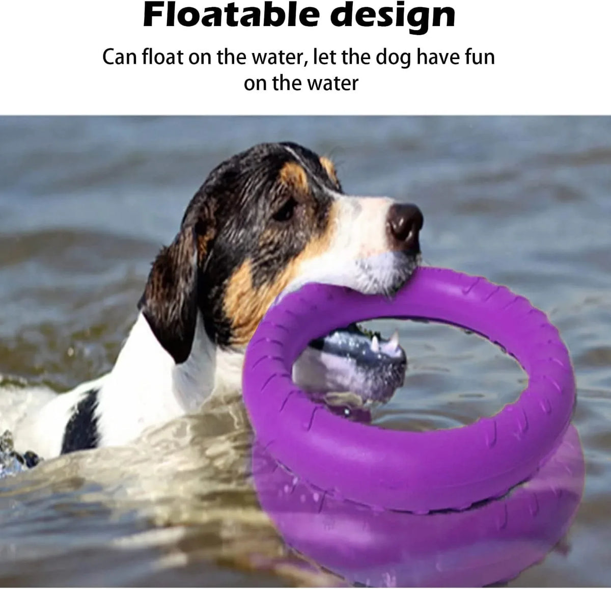 Durable Dog Flying Disc Chew Toy - Floating - MyPetDollar.com