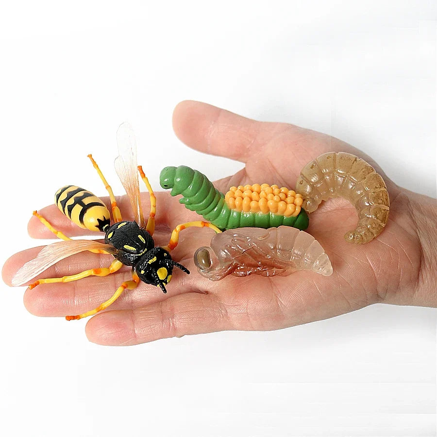 Realistic Insect Grasshopper Mosquito Cicad - MyPetDollar.com