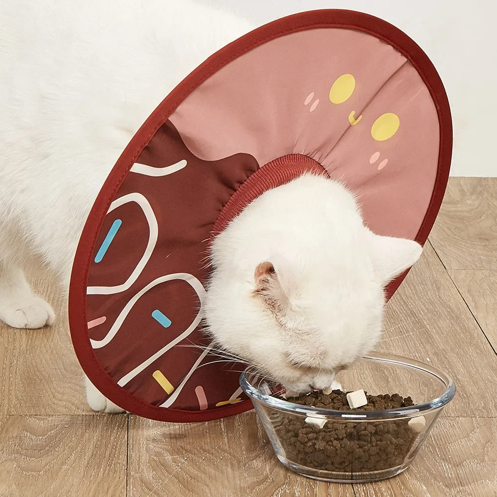 New Elizabethan Collar, Stylish and - MyPetDollar.com