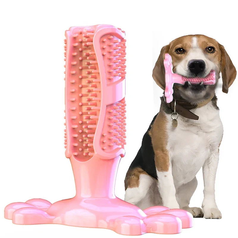 Pet Dog Cactus Interactive Rubber Bite - MyPetDollar.com