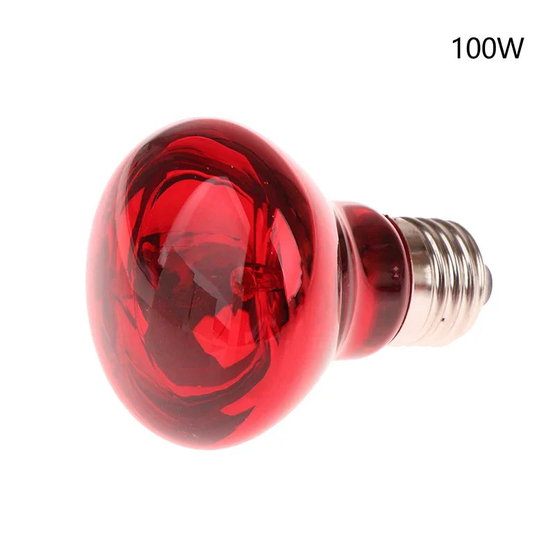 25 40 50 60 75 100w E27 UVA Poultry Bulb Infrared Night Light – 6 Colors