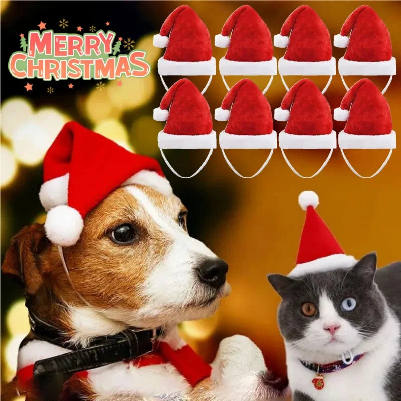 Christmas Pet Santa Hat Red Plush Soft - MyPetDollar.com