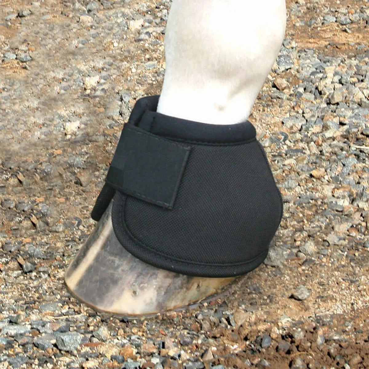 Soft Horse Bell Boots Quick Drying Oxford - MyPetDollar.com