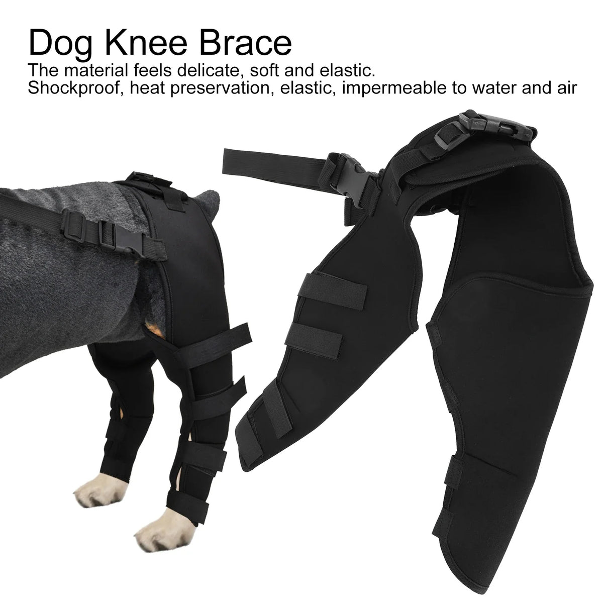 Pet Dog Hind Legs Protector Adjustable Knee - MyPetDollar.com