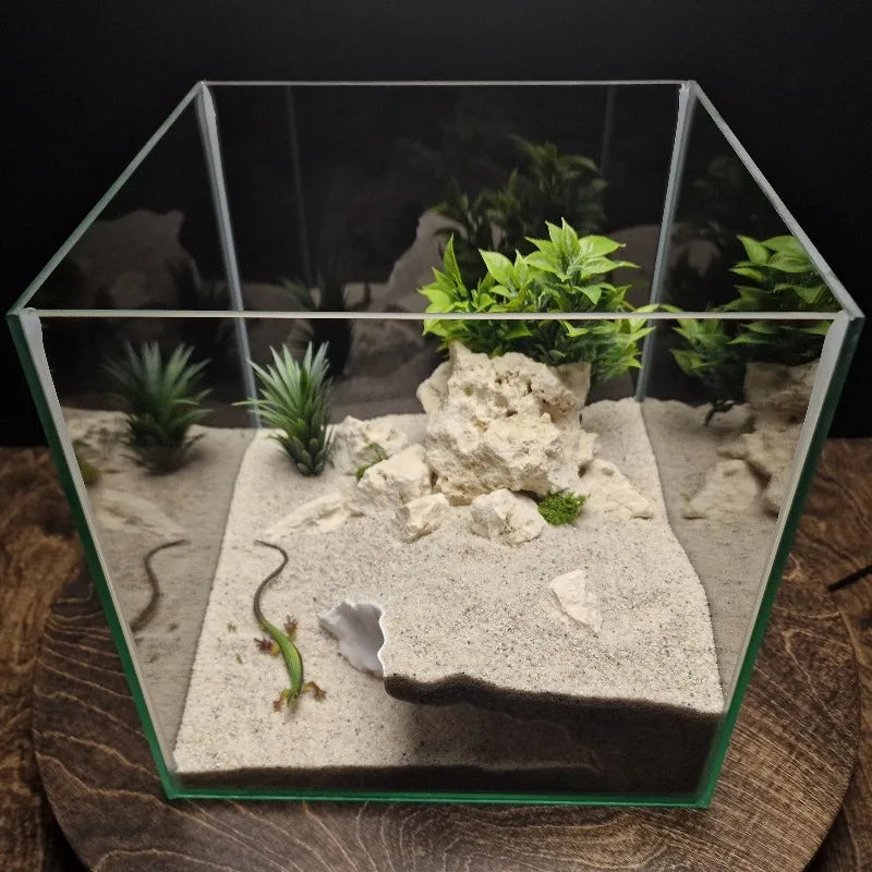 3D Printed High-Low Terrain Decor Dual-Use - MyPetDollar.com
