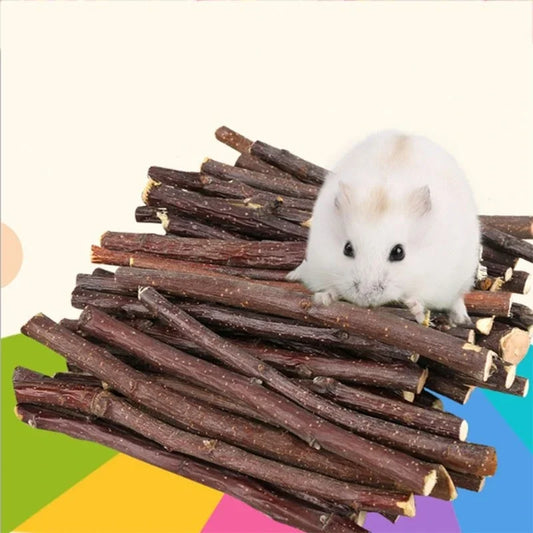 Professional Hamster Rabbit Teeth Grinding - MyPetDollar.com