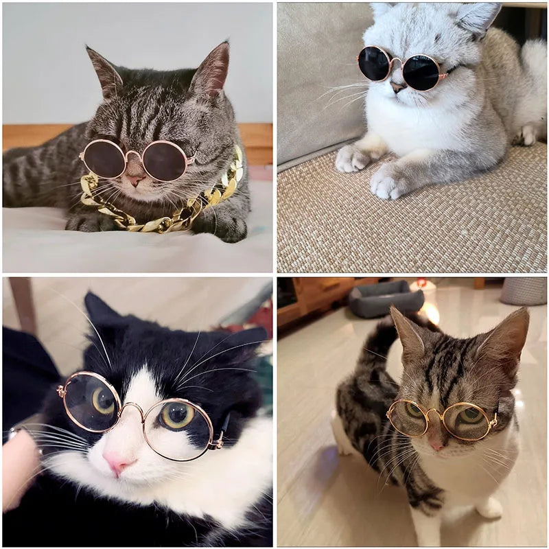 Luxury Glasses Pet Dog Pearl Sunglasses - MyPetDollar.com