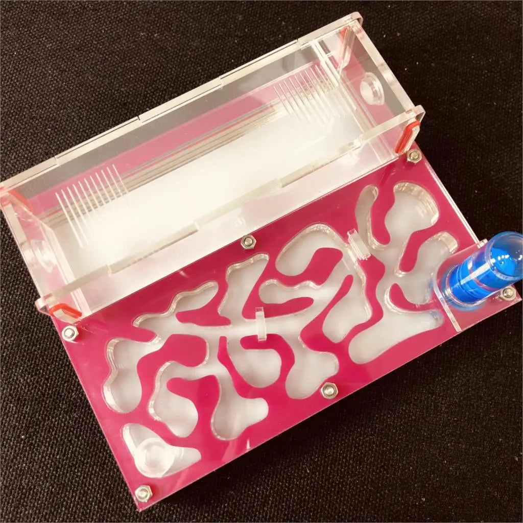 150mmx110mm test tube Moisture big space Ant - MyPetDollar.com