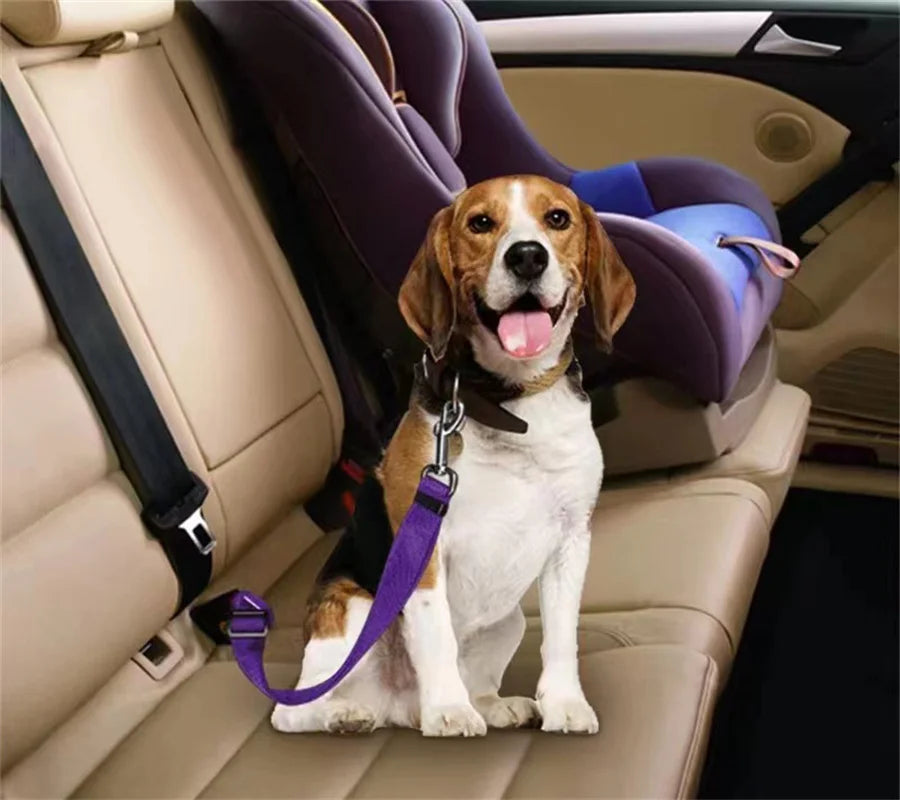 1pc Pet Cat Dog Car Seat Belt Suitable for - MyPetDollar.com