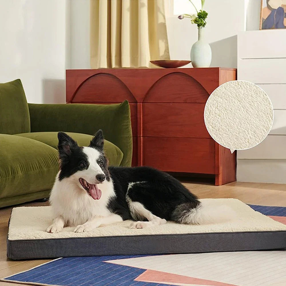 Washable Egg Memory Foam Pet Product Large - MyPetDollar.com