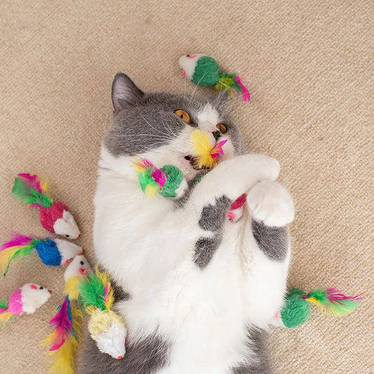 50/5Pcs Plush Cat Mouse Toys Colorful - MyPetDollar.com