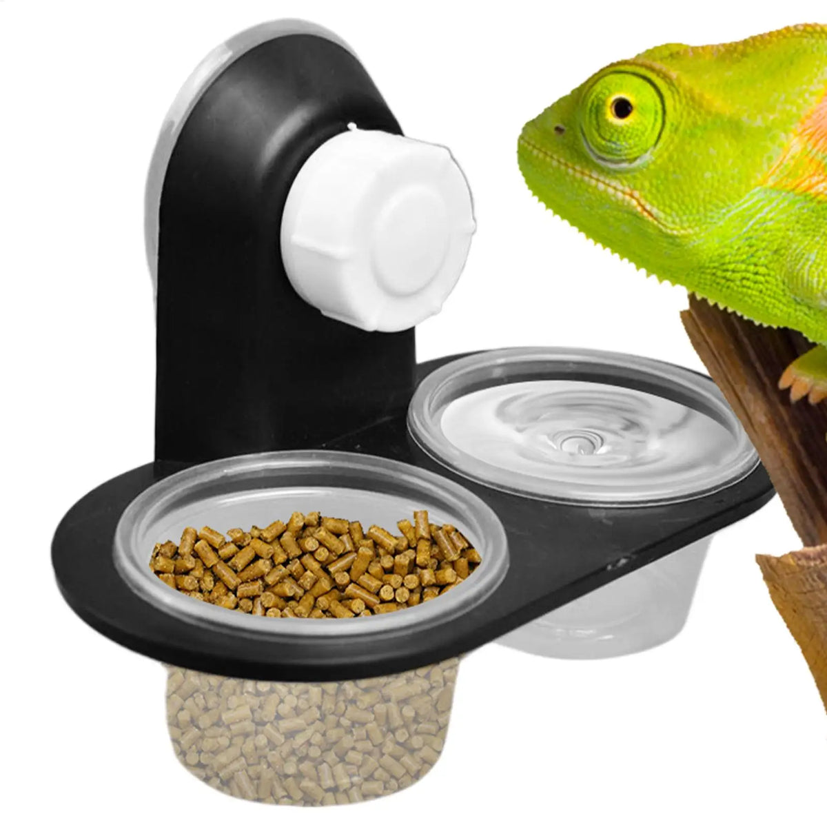 Acrylic Crawling Pet Feeding Water Bowl with - MyPetDollar.com