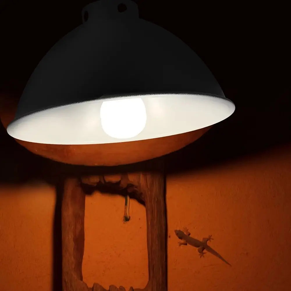 1Pcs Dome Heating Reptile Light Fixtures - MyPetDollar.com