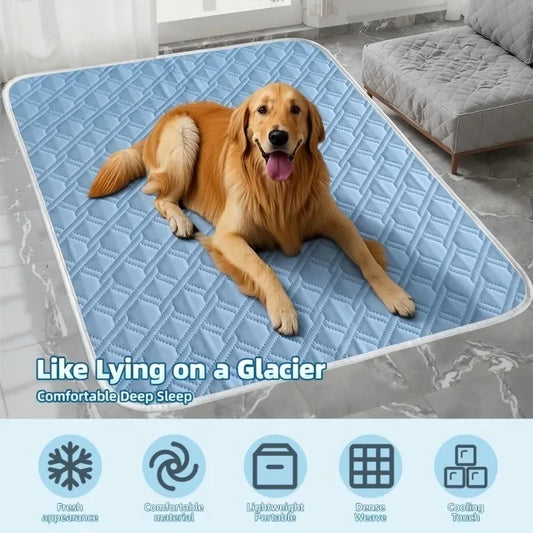 1PCS New Upgraded Ice Cooling Experience - MyPetDollar.com