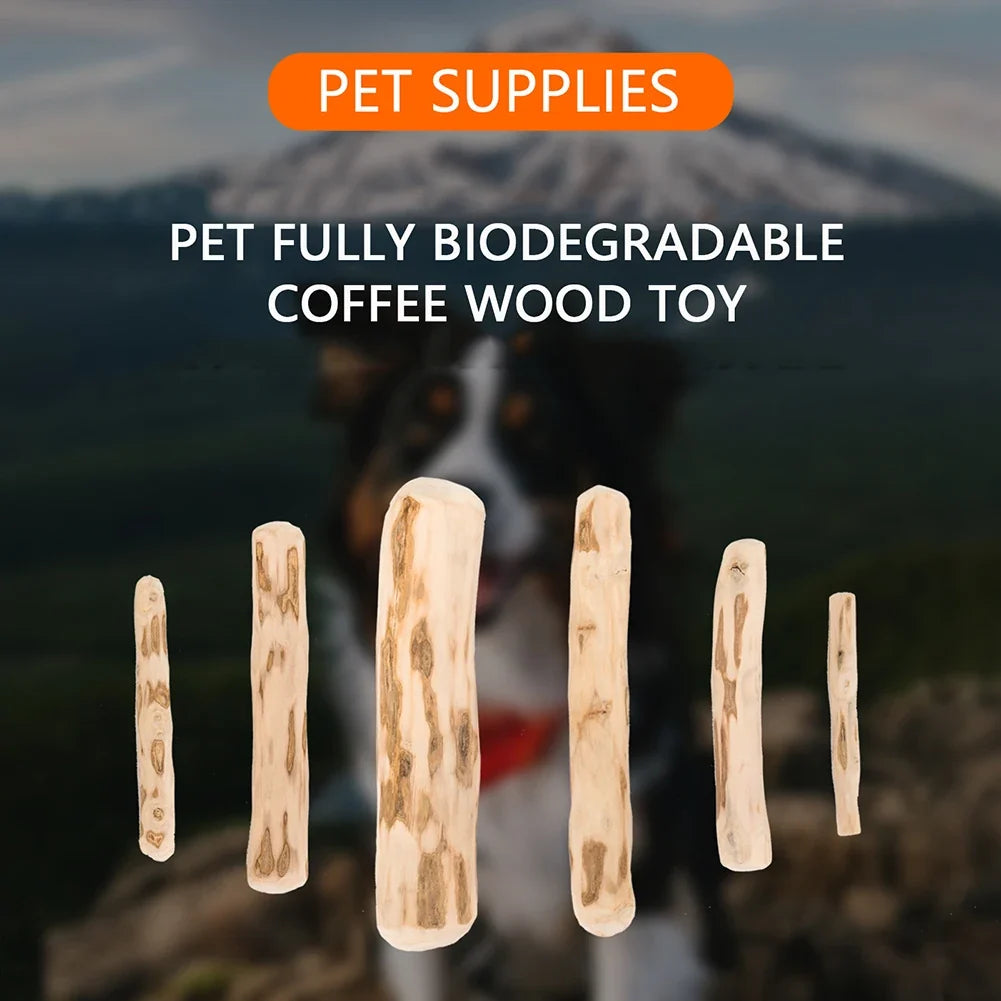 Pet Molar Stick Mumbies Wood Dog Chews Toy - MyPetDollar.com