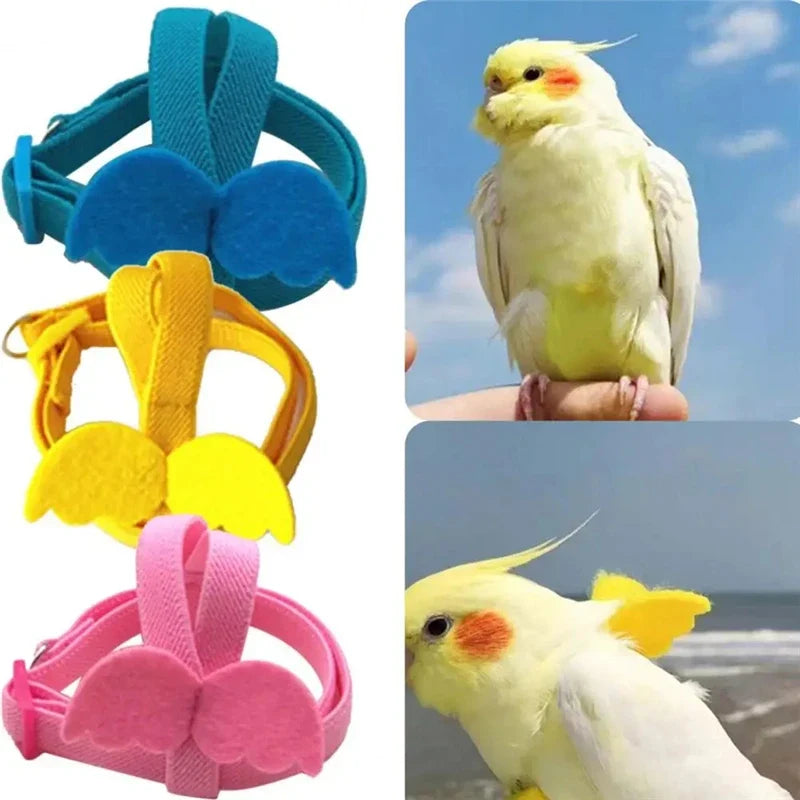Adjustable Parrot Bird Harness Leash Set - MyPetDollar.com