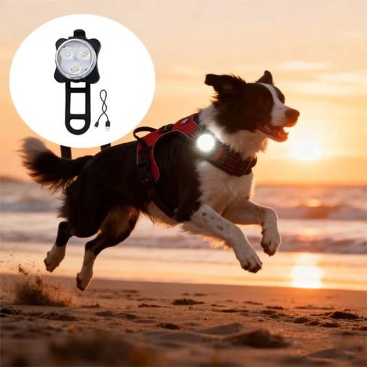 Portable Pet Safety Led Light 4 Modes USB - MyPetDollar.com