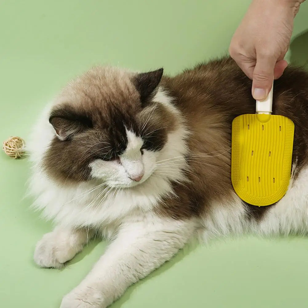 Double-side Pet Hair Remover Pet Hair - MyPetDollar.com