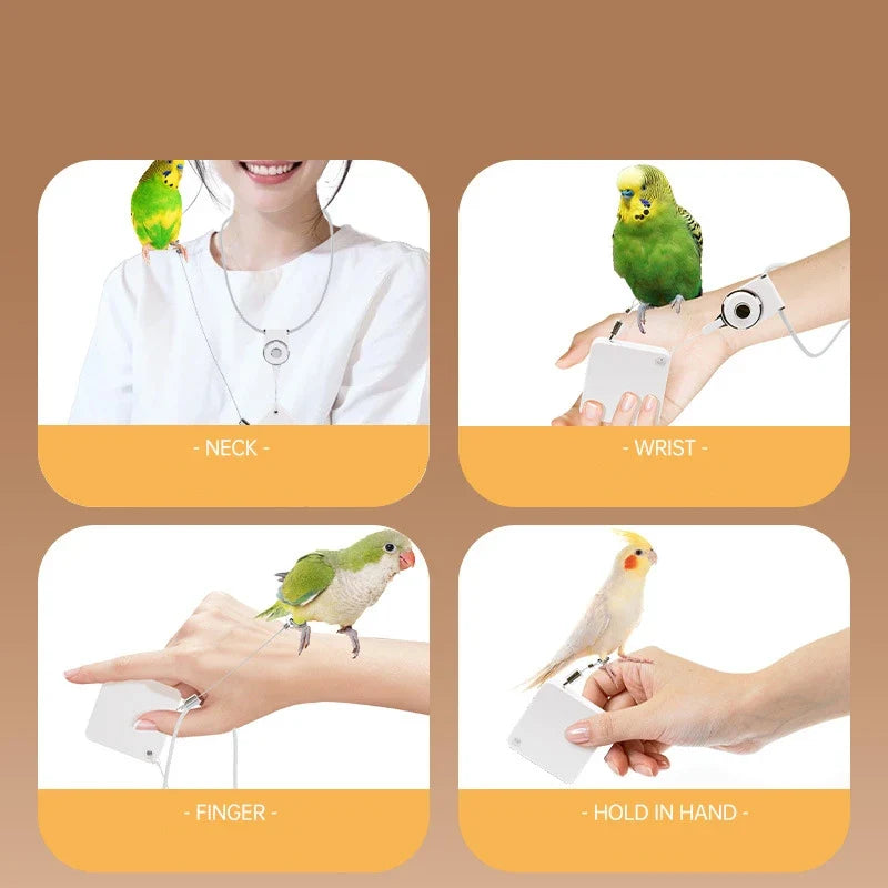 Cockatiel Harness And Leashes 2M Conures - MyPetDollar.com