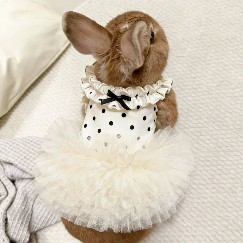 Cute Breathable Puppy Slip Dress Lace Hem - MyPetDollar.com