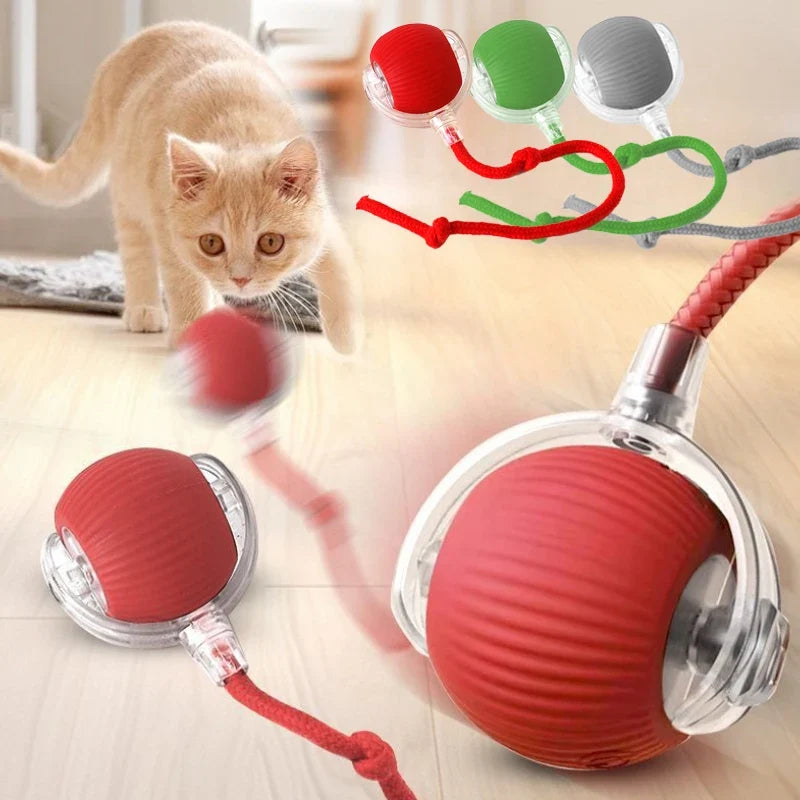 Cat Interactive Ball Toy Automatic Rolling - MyPetDollar.com