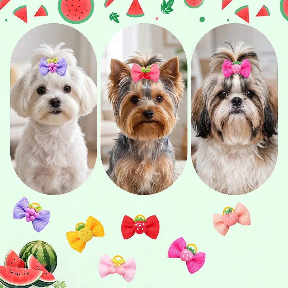 10/20/30PCS Fruit Theme Dog Bow Rubber Bands - MyPetDollar.com
