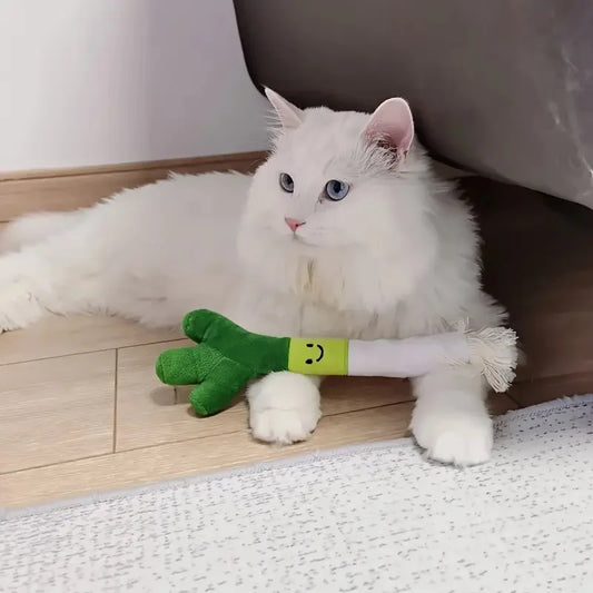 Funny Plush Dog Chew Toys Bite-resistance - MyPetDollar.com