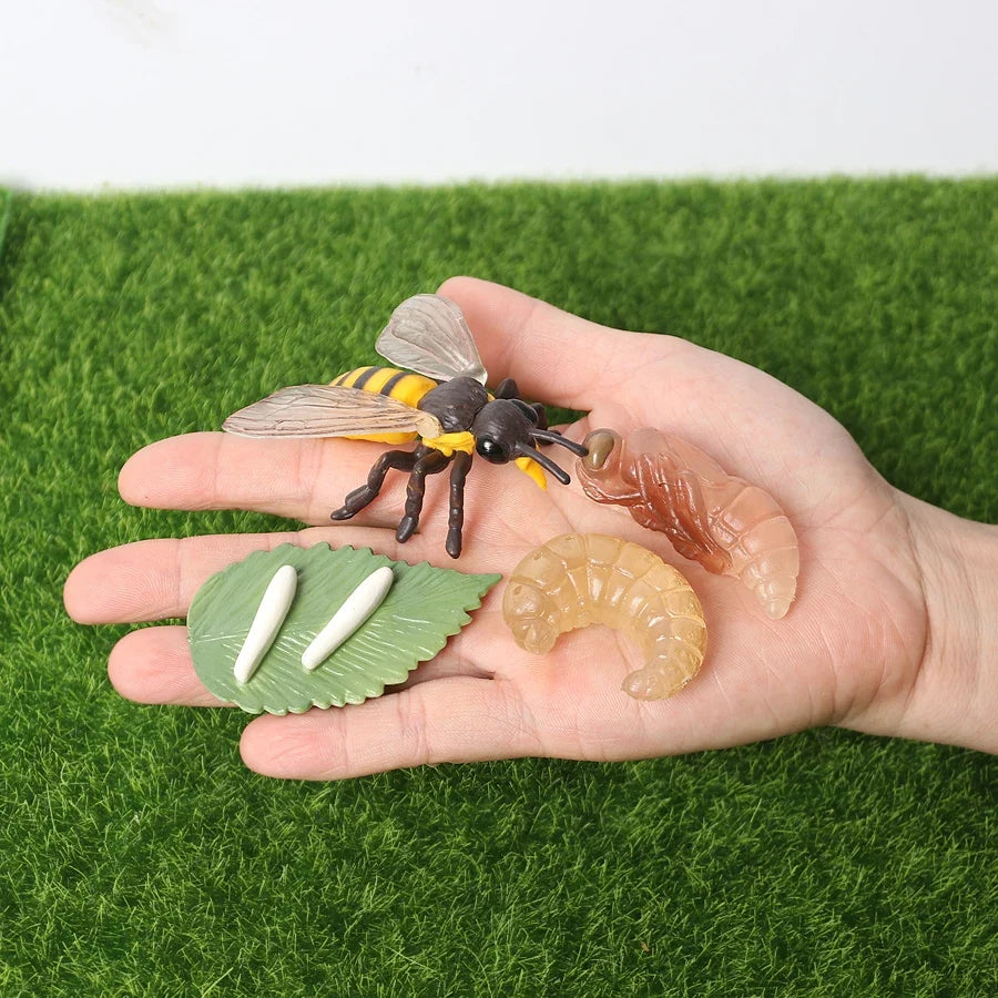 Realistic Insect Grasshopper Mosquito Cicad - MyPetDollar.com