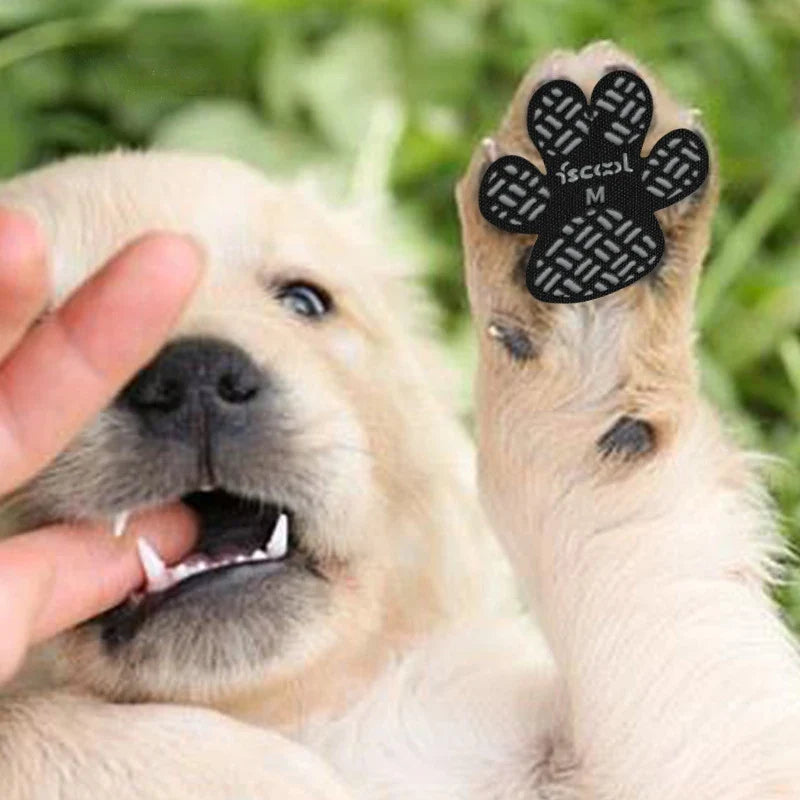 4-Pack Dog Paw Stickers For Outdoor Walking - MyPetDollar.com