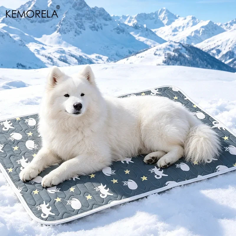 Summer Ice Silk Pet Cooling Mat Waterproof - MyPetDollar.com