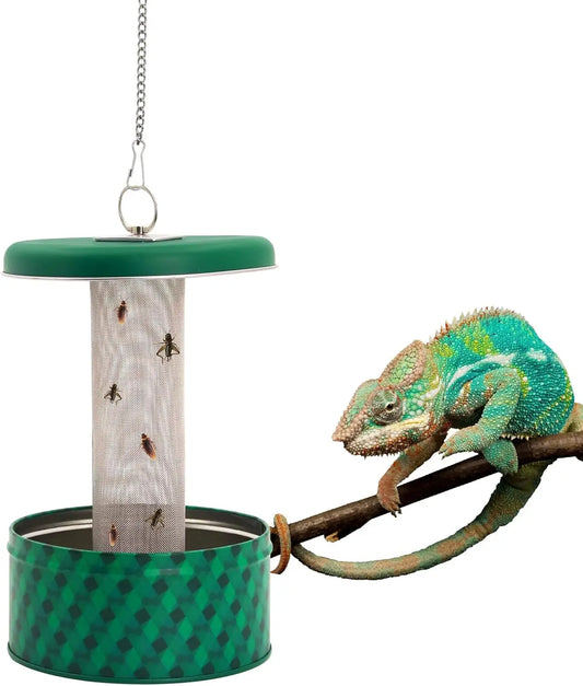 Bearded Dragon Feeder Chameleon Bug Bowl - MyPetDollar.com