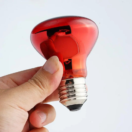 E27 Poultry Heating Bulb 25W-100W Infrared - MyPetDollar.com