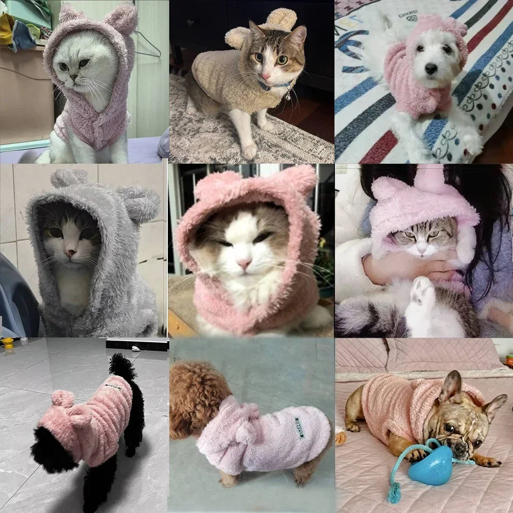 Pet Cats Coat Hoodie For Small Medium Dogs - MyPetDollar.com