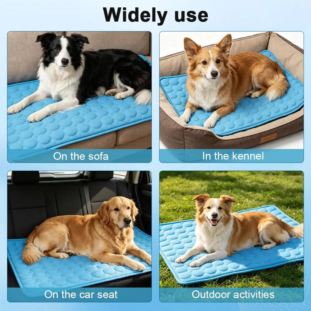 Dog Cooling Mat 2026 Upgraded Arc-Chill - MyPetDollar.com