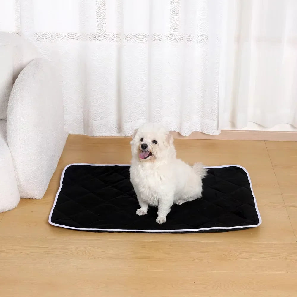 Self-Warming Pet Blanket for Outdoor Use - - MyPetDollar.com