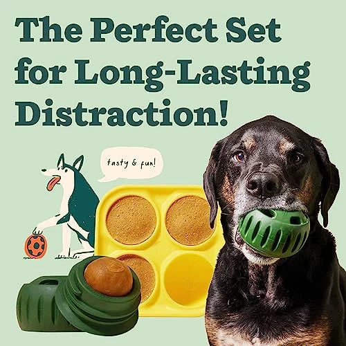 Durable Interactive Dog Ball Toy & Silicone - MyPetDollar.com