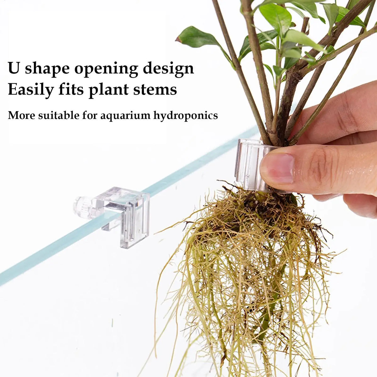 Fish Tank Plant Holder 6 Pieces Clear - MyPetDollar.com