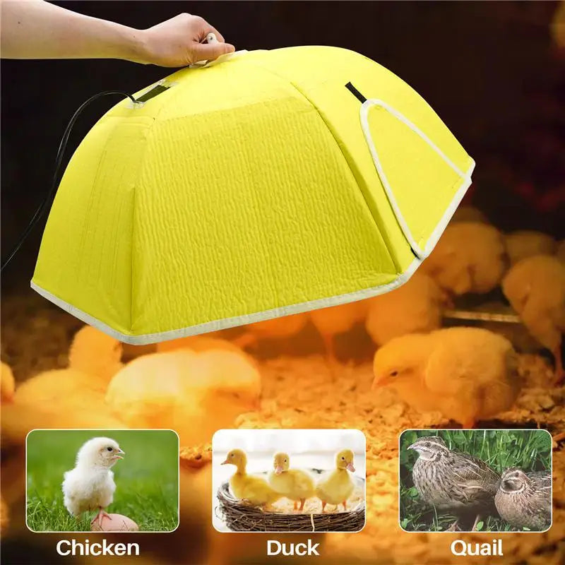 2Types Electric Chick Brooder Heating Cover - MyPetDollar.com