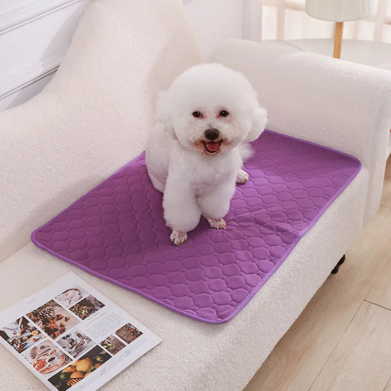 Reusable Washable Dog Pee Pad Blanket Super - MyPetDollar.com