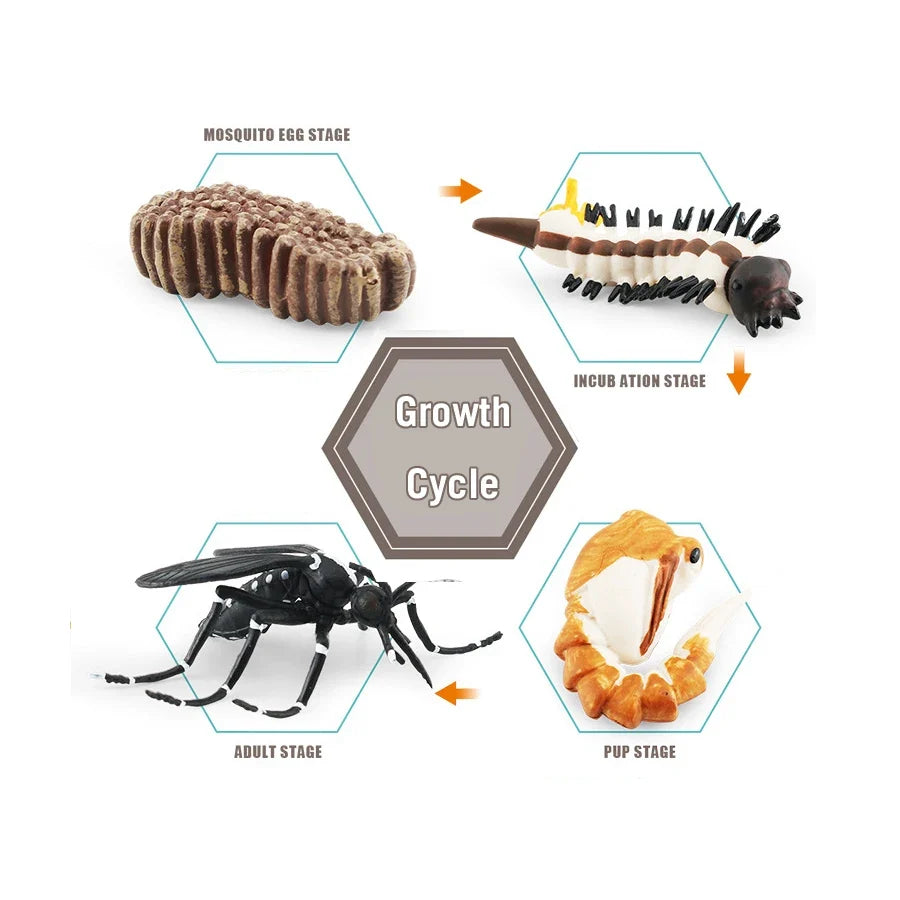 Realistic Insect Grasshopper Mosquito Cicad - MyPetDollar.com